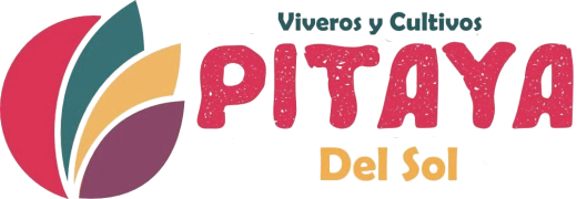 Pitaya del Sol – Viveros y Cultivos